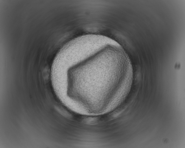 X0000092320081200710121531