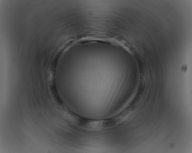 X0000092320084200710121531
