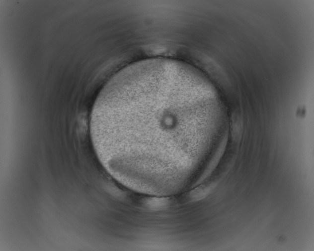 X0000092320085200710121531
