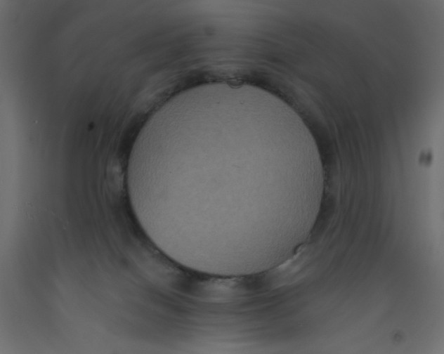 X0000092320086200710121531
