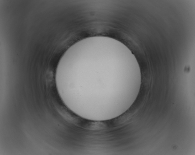 X0000092320087200710121531