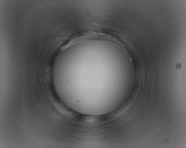 X0000092320088200710121531