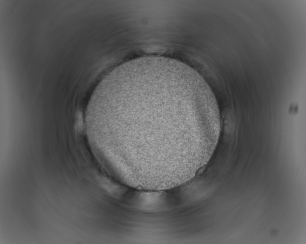 X0000092320089200710121531