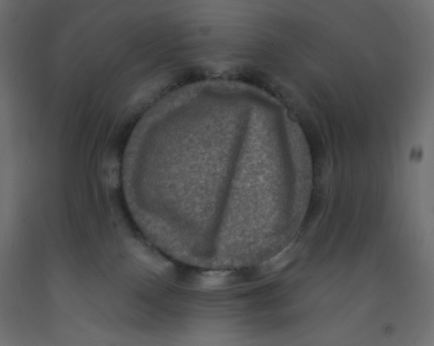 X0000092320090200710121531