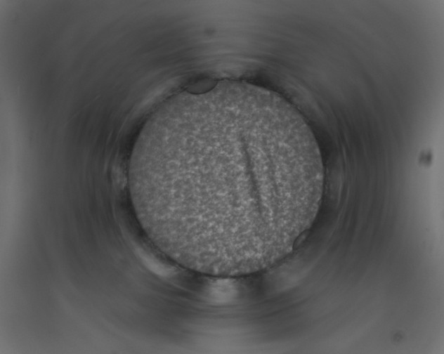 X0000092320091200710121531