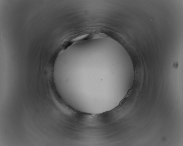 X0000092320092200710121531