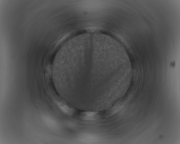 X0000092320093200710121531