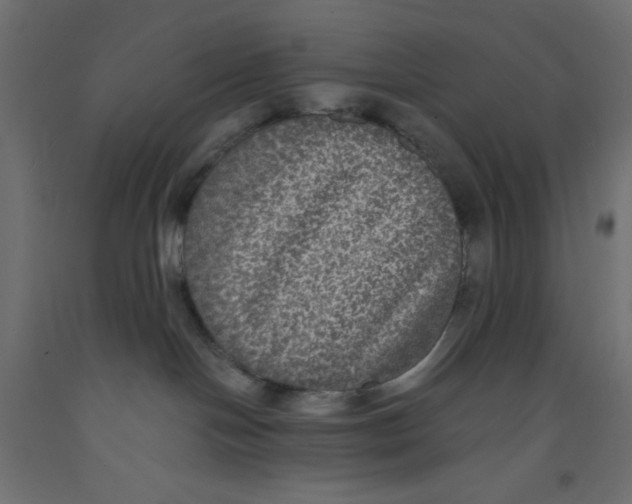 X0000092320094200710121531