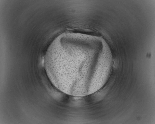 X0000092320095200710121531