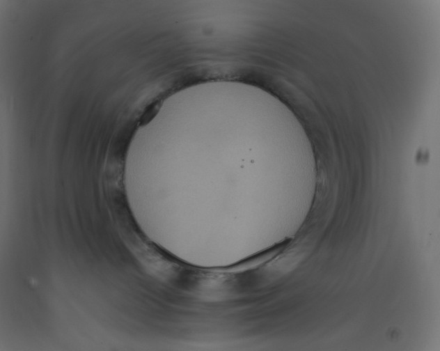 X0000092320096200710121531