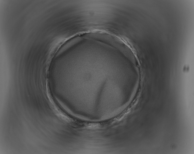 X0000092320097200710121530