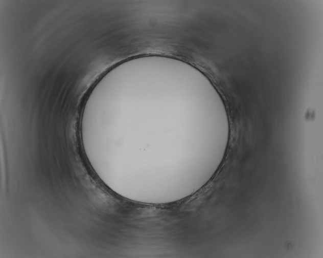 X0000092320098200710121530
