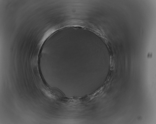 X0000092320099200710121530