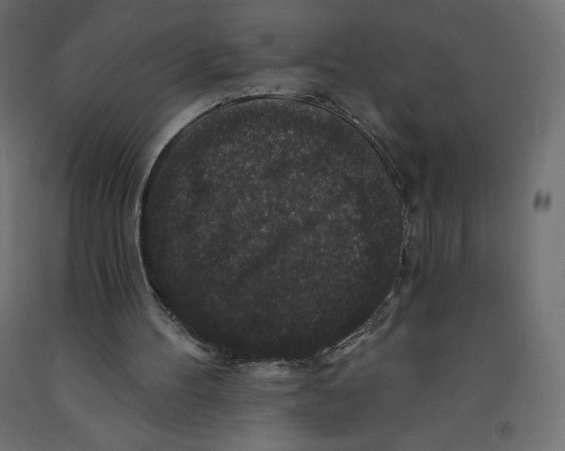 X0000092320100200710121530
