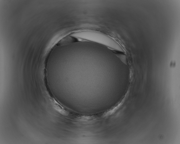X0000092320101200710121530