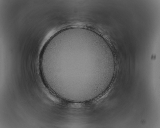 X0000092320102200710121530