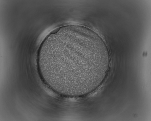 X0000092320103200710121530