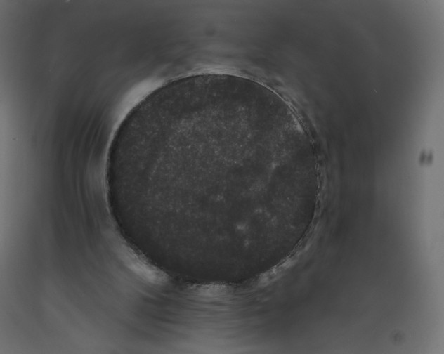 X0000092320104200710121530