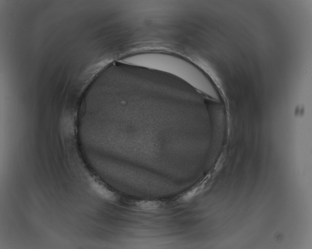 X0000092320105200710121530