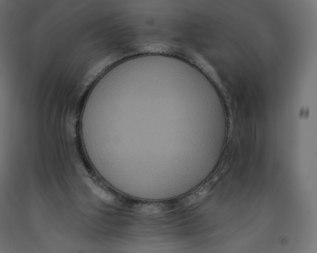 X0000092320106200710121530