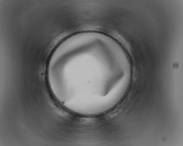 X0000092320107200710121530