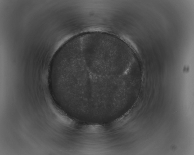 X0000092320108200710121530