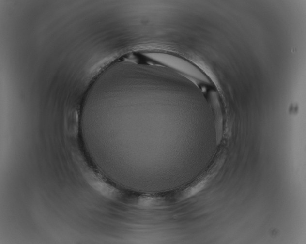 X0000092320109200710121530