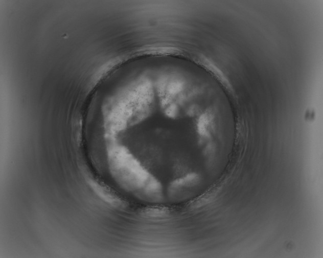X0000092320110200710121530