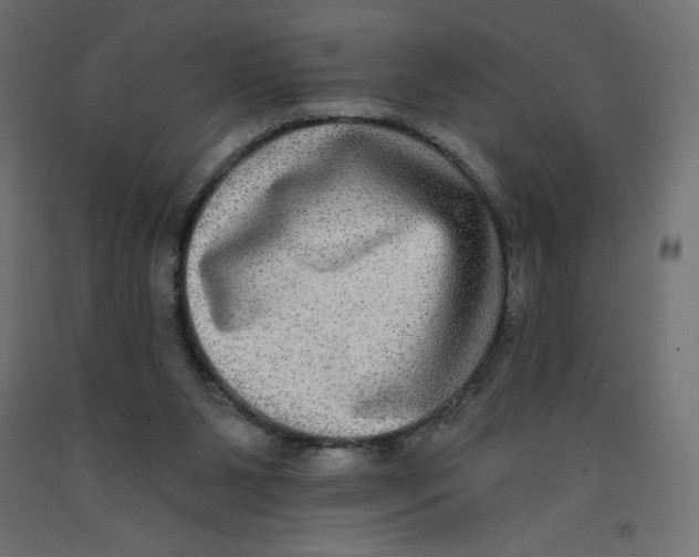 X0000092320111200710121530