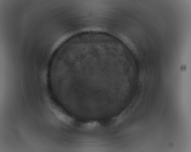 X0000092320112200710121530