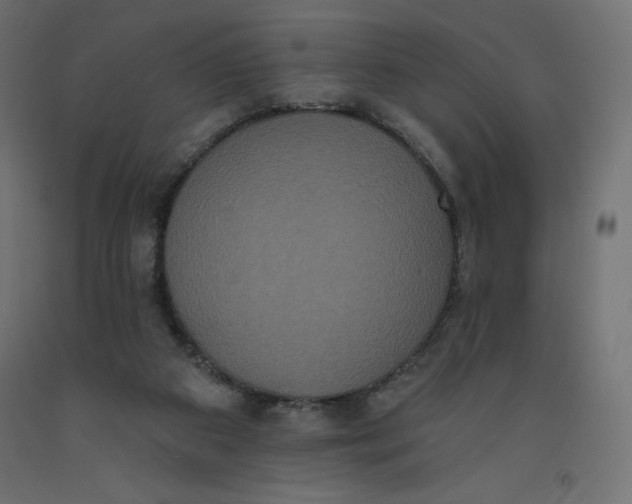 X0000092320113200710121530