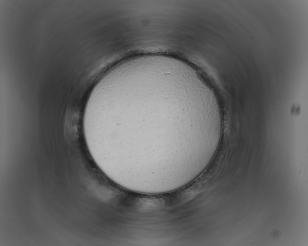 X0000092320115200710121530