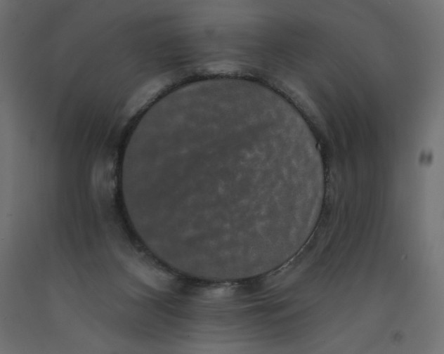 X0000092320116200710121530