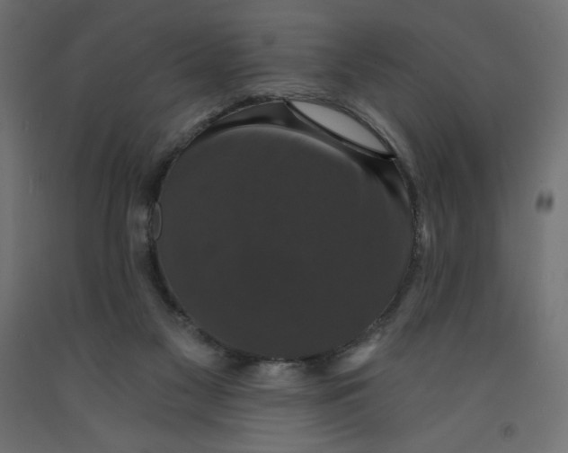 X0000092320117200710121530
