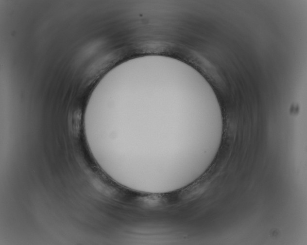 X0000092320118200710121530