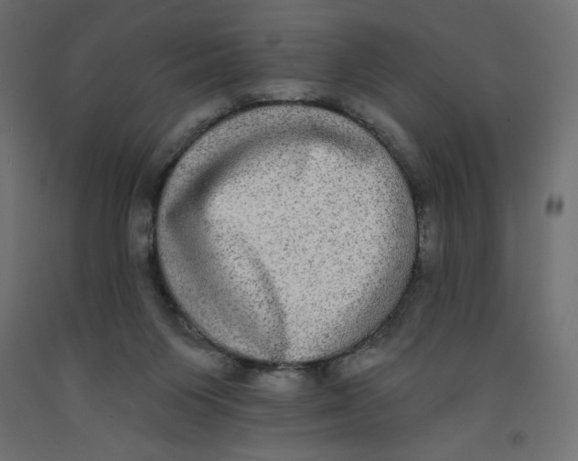X0000092320119200710121530