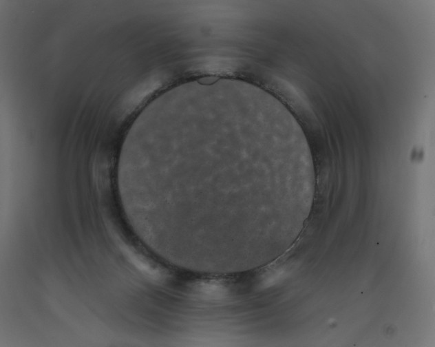 X0000092320120200710121530