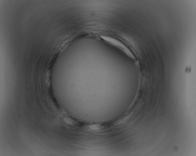 X0000092320121200710121530