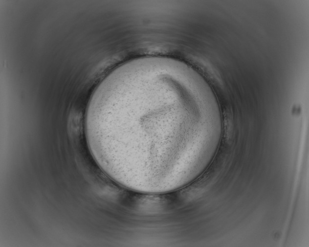 X0000092320123200710121530