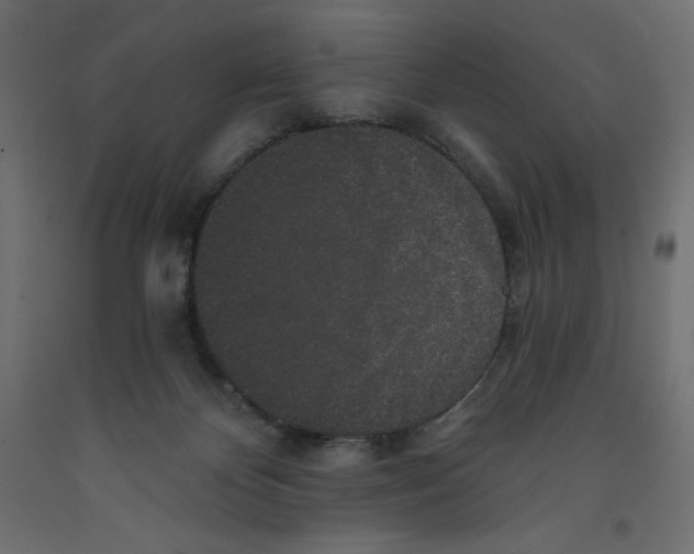 X0000092320124200710121530
