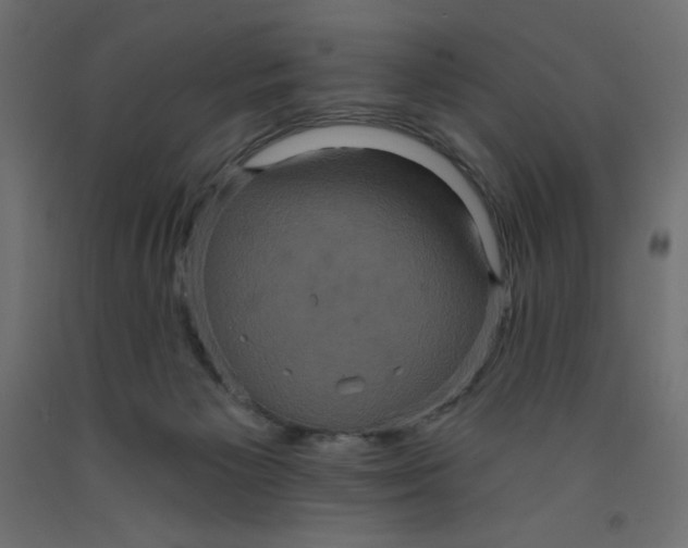 X0000092320125200710121530