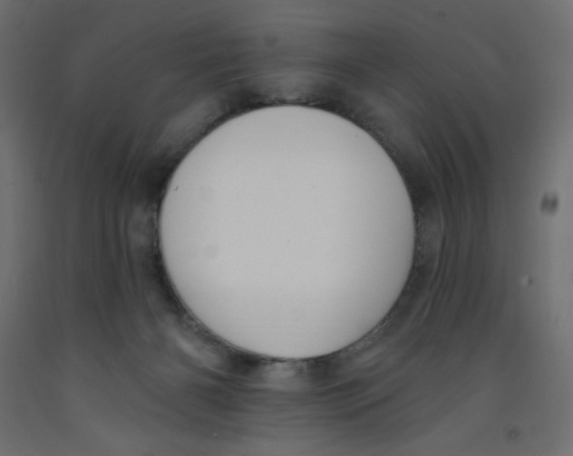 X0000092320126200710121530
