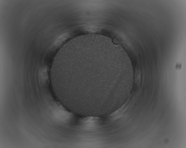 X0000092320128200710121530
