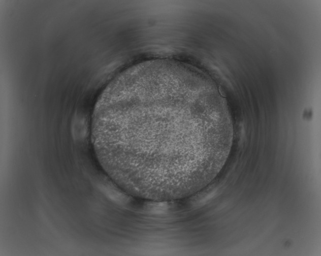 X0000092320131200710121530