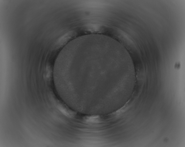 X0000092320132200710121530