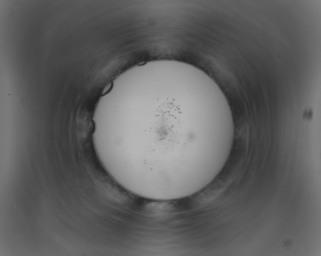 X0000092320133200710121530