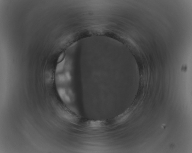 X0000092320134200710121530