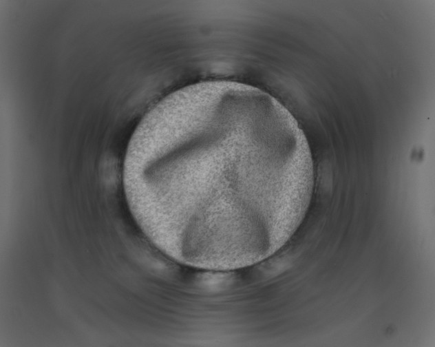 X0000092320135200710121530