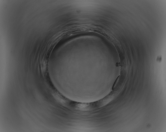 X0000092320139200710121530