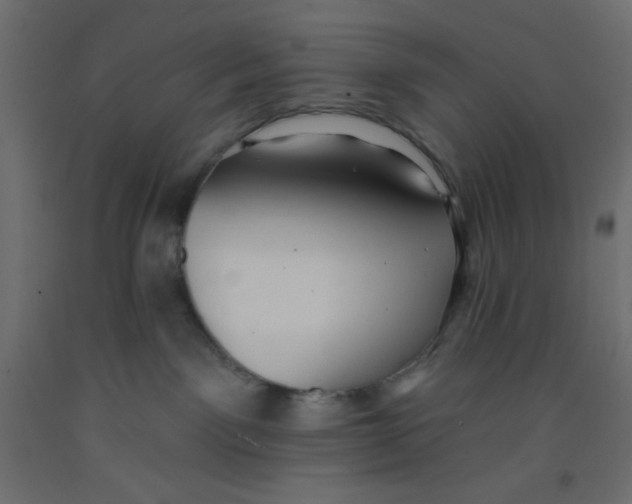 X0000092320141200710121530